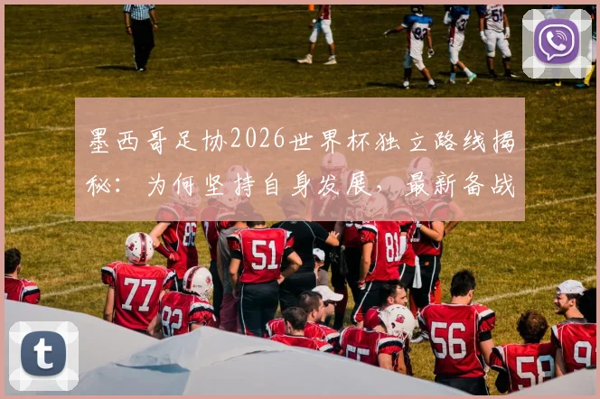 墨西哥足协2026世界杯独立路线揭秘：为何坚持自身发展，最新备战策略深度分析