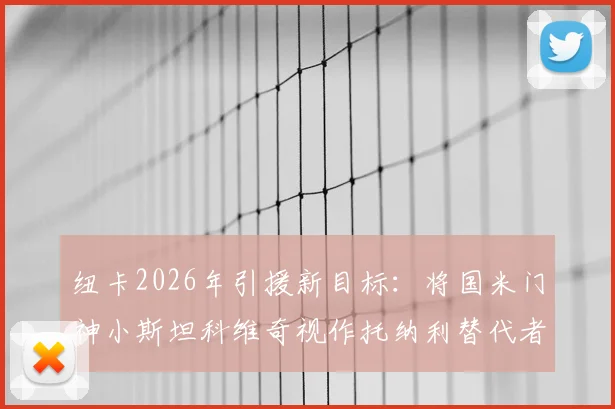 纽卡2026年引援新目标:将国米门神小斯坦科维奇视作托纳利替代者,转会费引关注